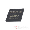BGM11S12F256GA-V2R
